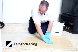 Carpet Dry Cleaning Cranbourne 3977